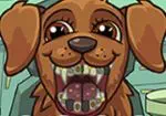 Сумасшедшие стоматолог домашних животных